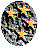 star4.gif (1776 bytes)